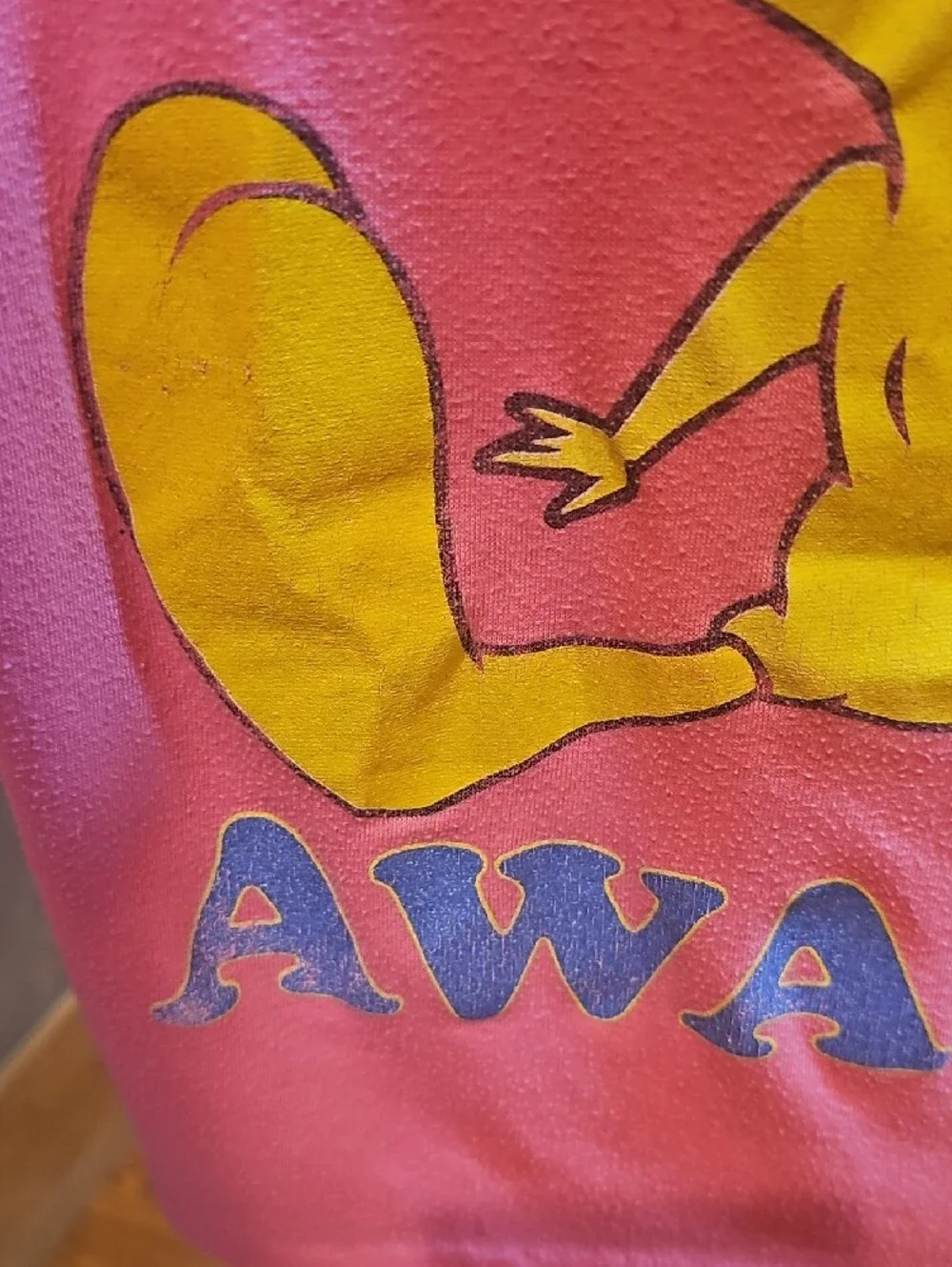 Warner Bros. Pink Tweety Short Sleeve Tee